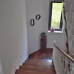La Rosa Di Tempalta *