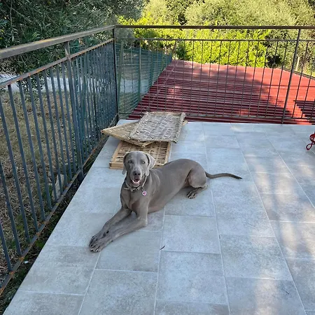 La Rosa Di Tempalta בית חווה *